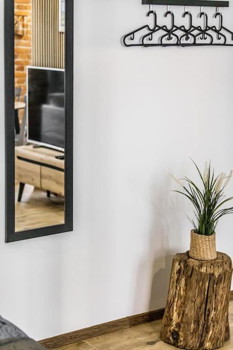 Rzeznicza 24 Apartment วรอตซวาฟ ภายนอก รูปภาพ